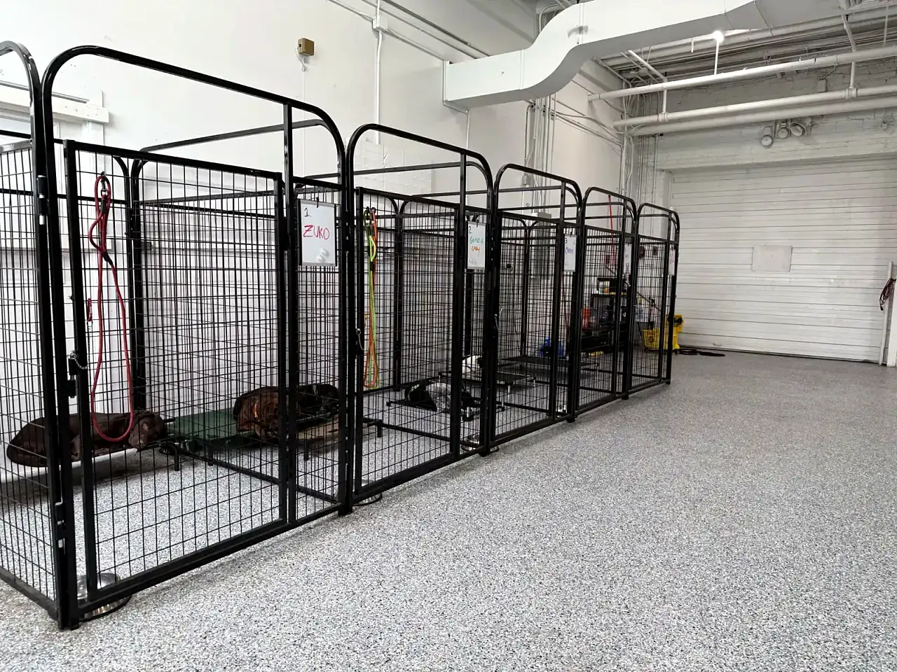 Designated rest area, not cage-free, at Beegan K9 dog daycare Cleveland