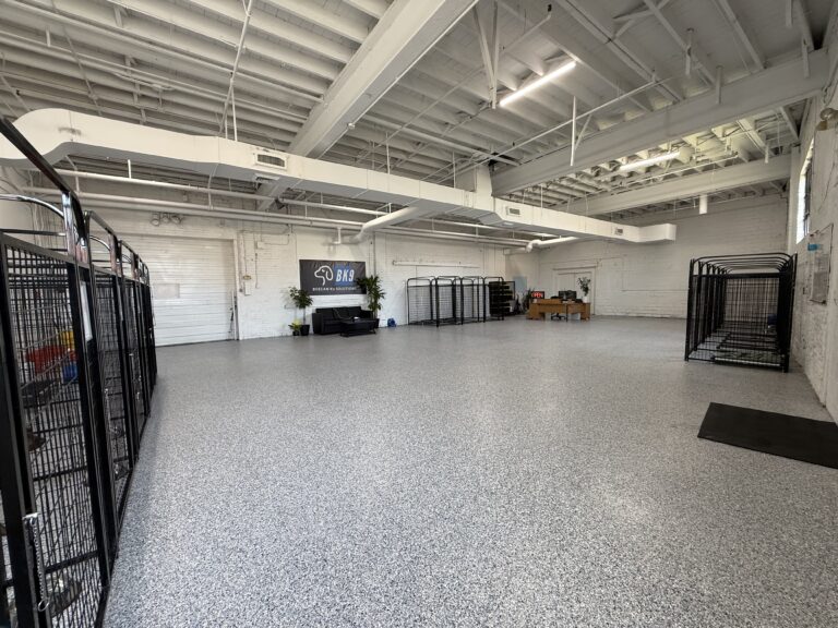 The main playroom at Beegan K9 dog daycare in Cleveland, Ohio