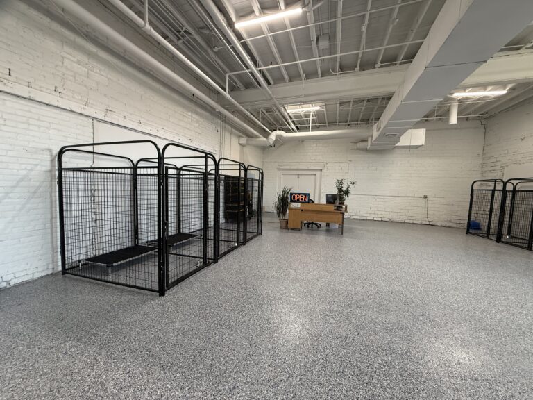 The clean indoor facility at Beegan K9 dog daycare in Cleveland, Ohio