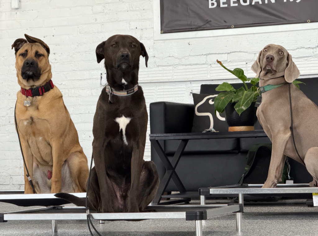 Screenshot_20260420-083347