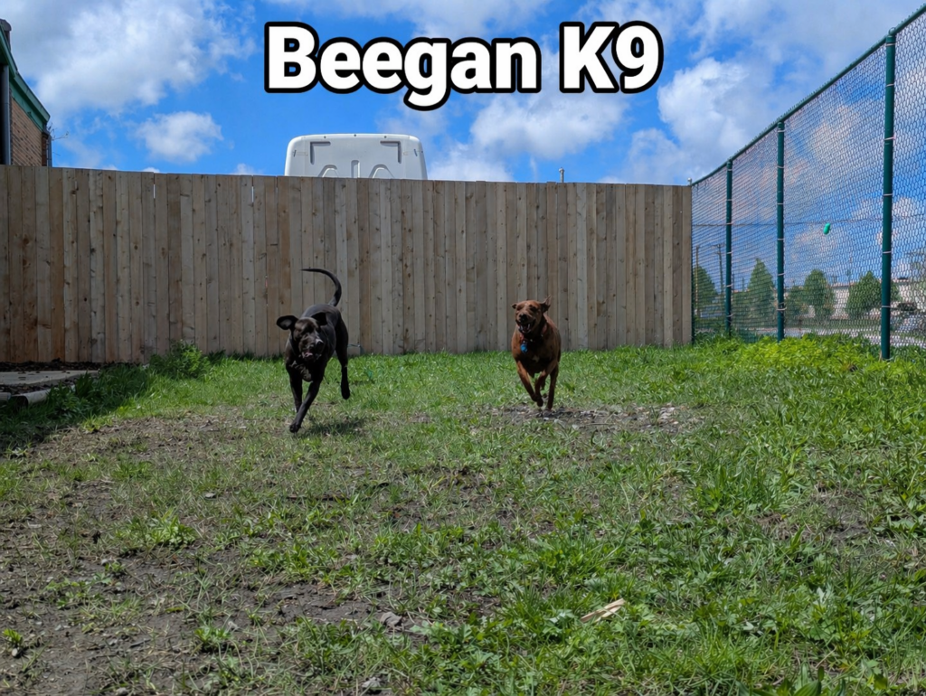 file_000000005814720c93307643f5d26c76